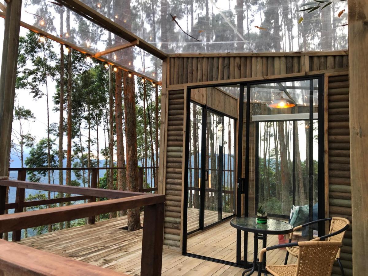 Latibule Glamping