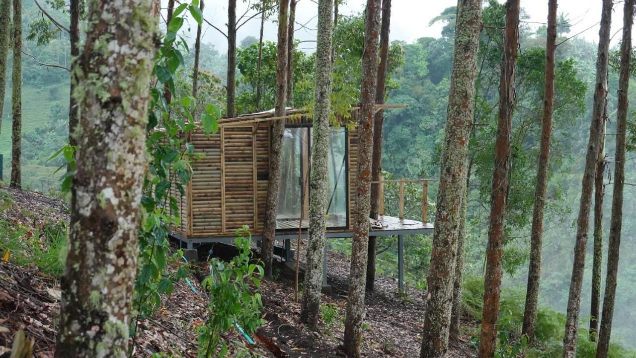 Hotel Latibule Glamping La Vega (Cundinamarca)