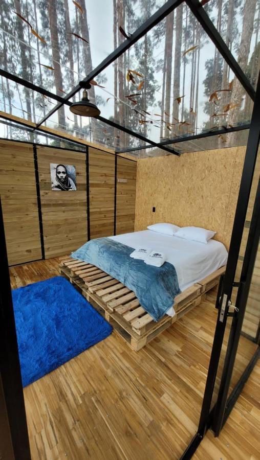 Hotel Latibule Glamping La Vega (Cundinamarca)