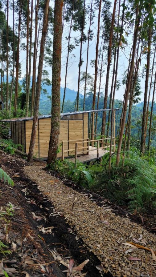 Latibule Glamping Hotel La Vega (Cundinamarca)